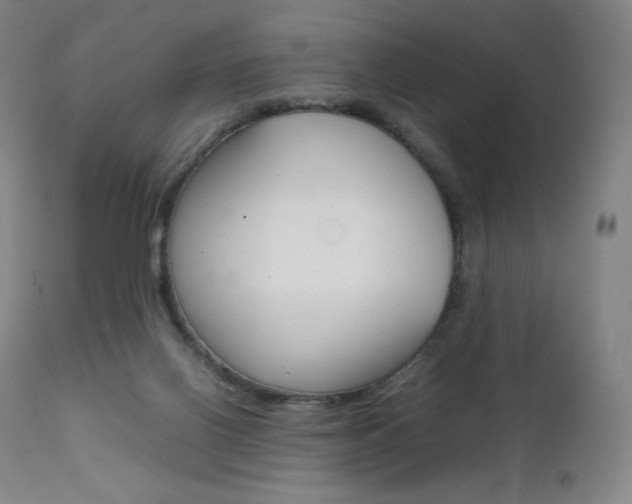 X0000111630070200907171139