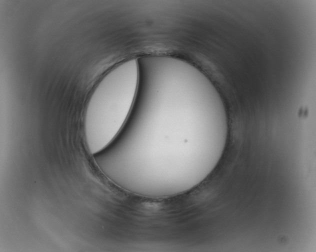 X0000111630071200907171139