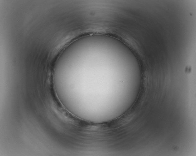 X0000111630072200907171139