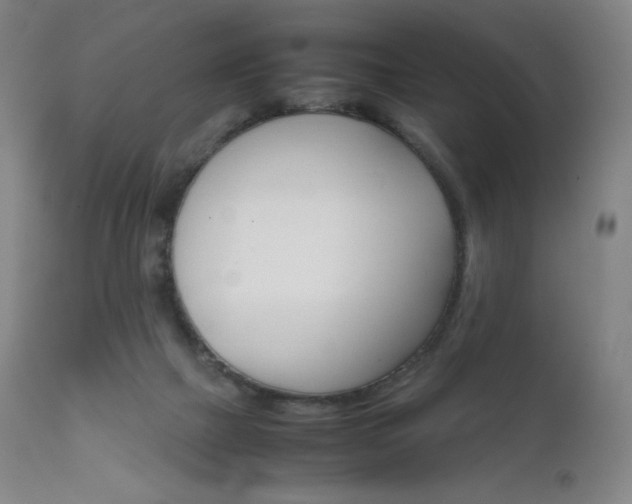 X0000111630073200907171139