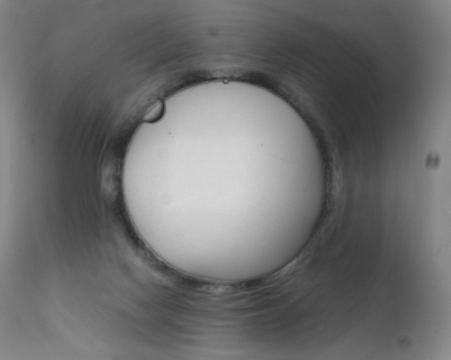 X0000111630074200907171139