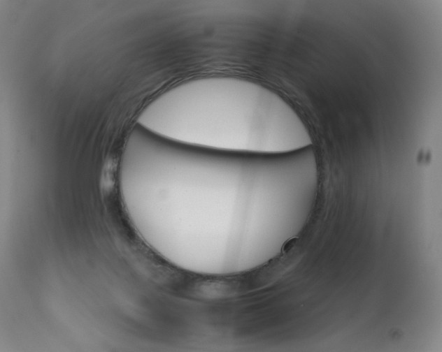 X0000111630075200907171139