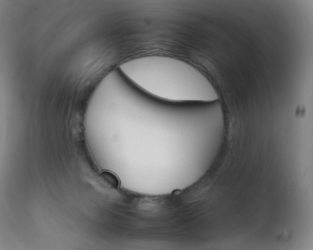 X0000111630077200907171139