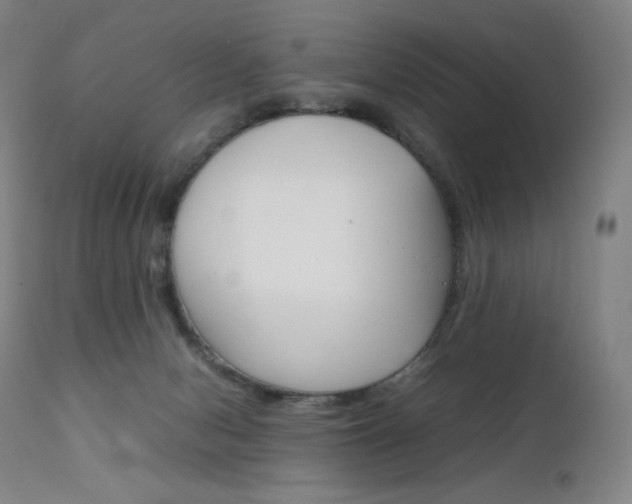 X0000111630078200907171139