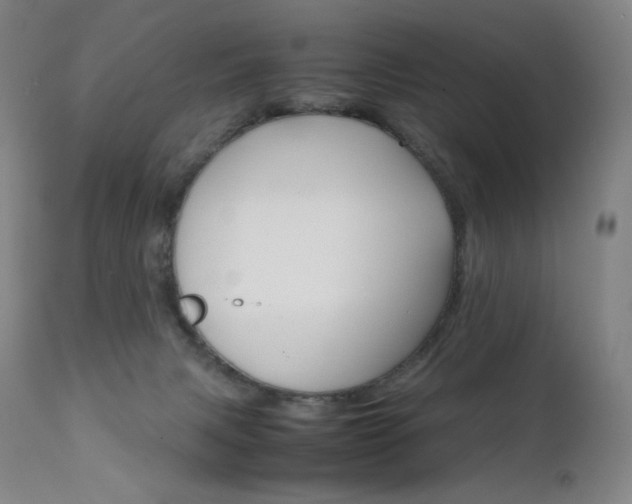 X0000111630079200907171139