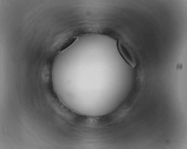 X0000111630080200907171139