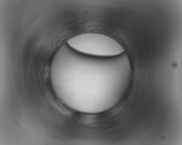 X0000111630081200907171139