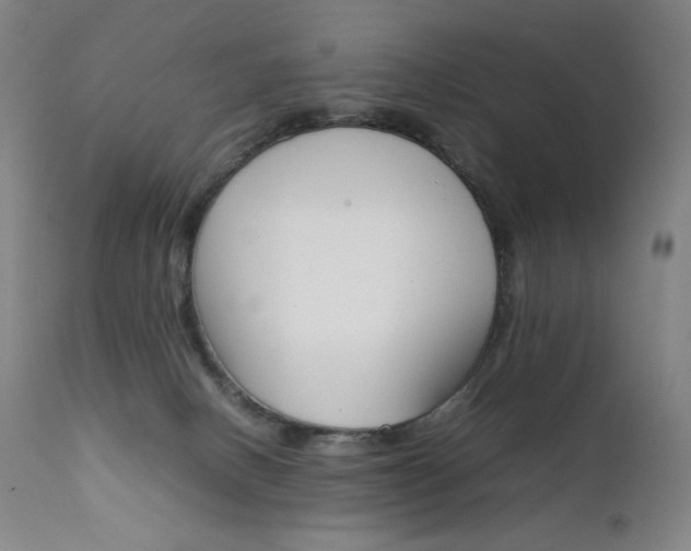 X0000111630082200907171139