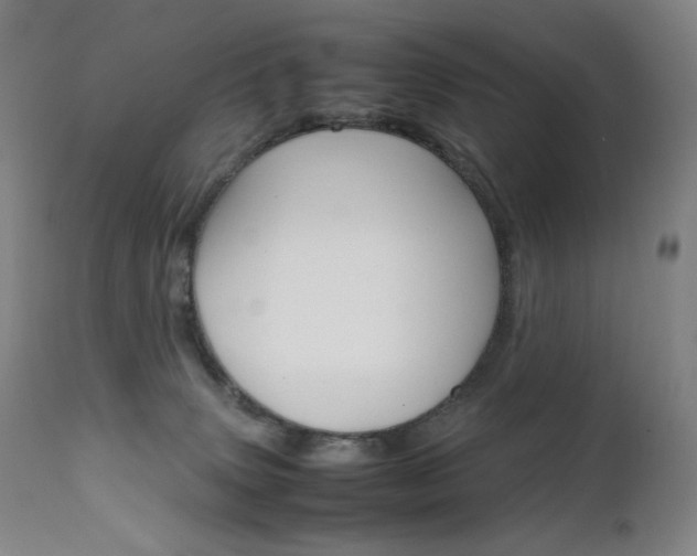 X0000111630083200907171139