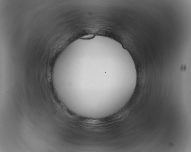 X0000111630085200907171139