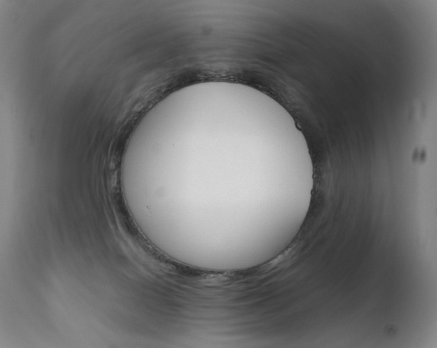X0000111630086200907171139