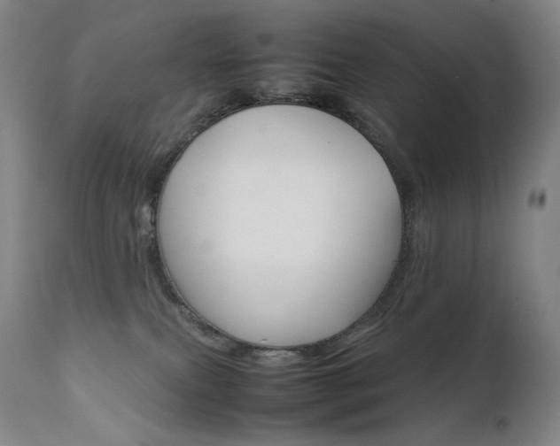 X0000111630087200907171139