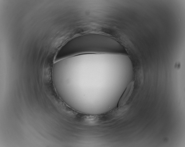 X0000111630088200907171139