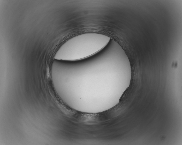 X0000111630089200907171139