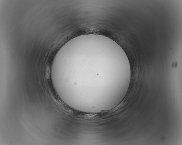 X0000111630090200907171139