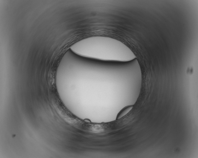 X0000111630091200907171139