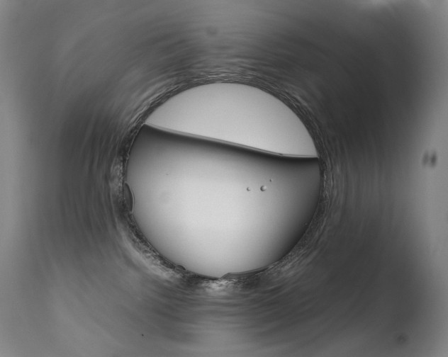 X0000111630092200907171139