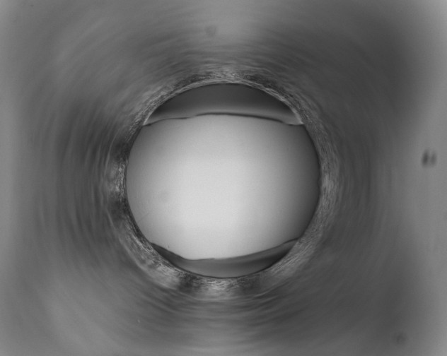 X0000111630096200907171139