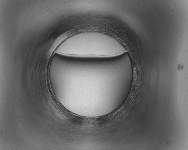 X0000111630099200907171139