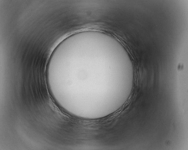 X0000111630100200907171139