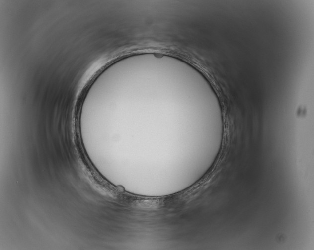 X0000111630102200907171139