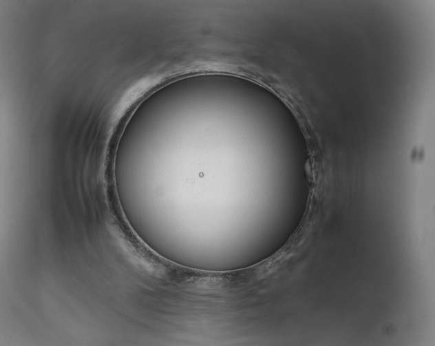 X0000111630104200907171139