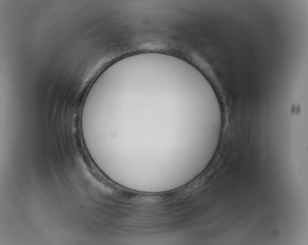 X0000111630106200907171139