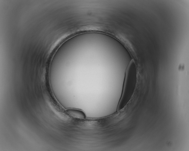 X0000111630108200907171138