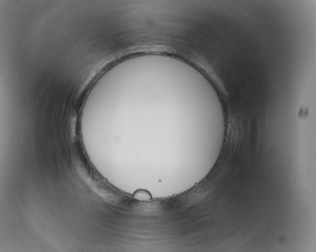 X0000111630110200907171138