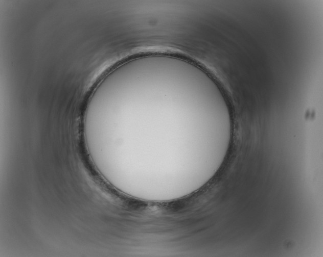 X0000111630111200907171138