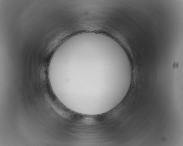 X0000111630114200907171138