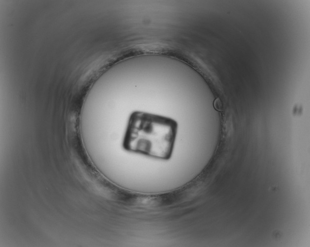 X0000111630117200907171138