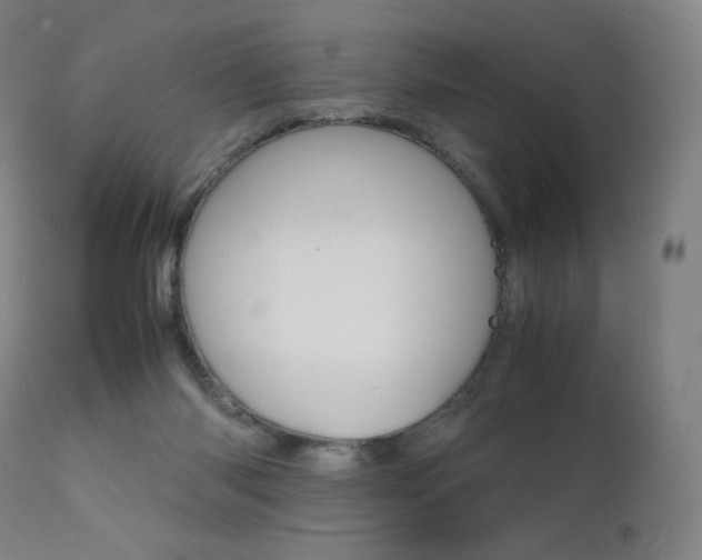X0000111630118200907171138
