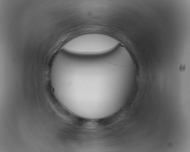 X0000111630119200907171138