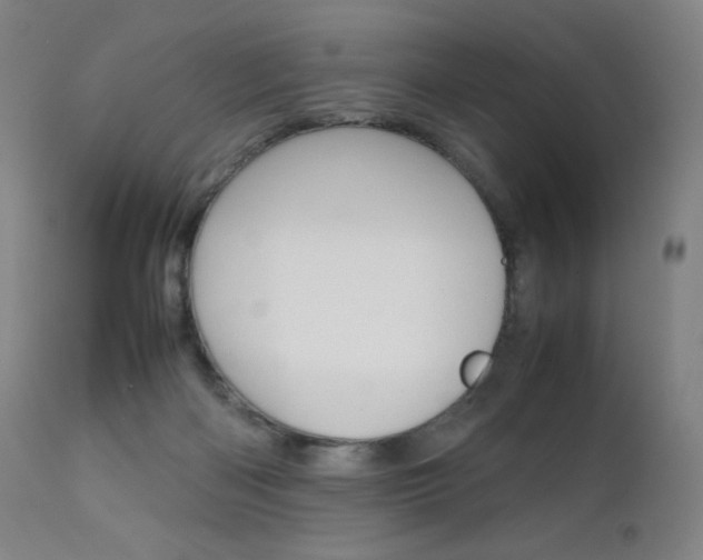 X0000111630122200907171138