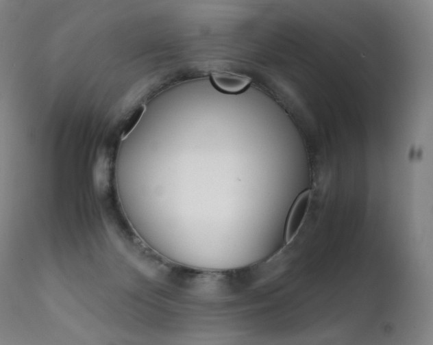 X0000111630124200907171138