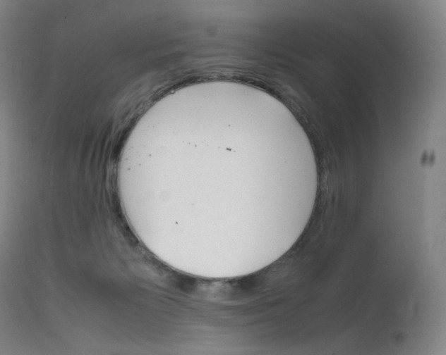 X0000111630125200907171138