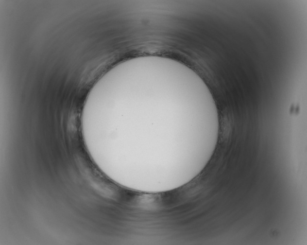 X0000111630126200907171138