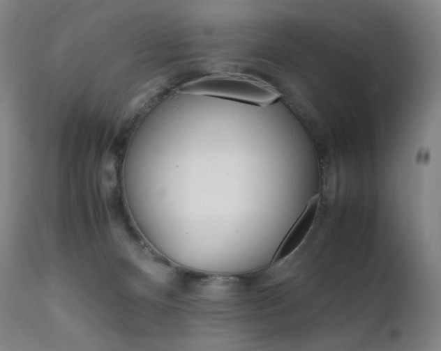 X0000111630128200907171138