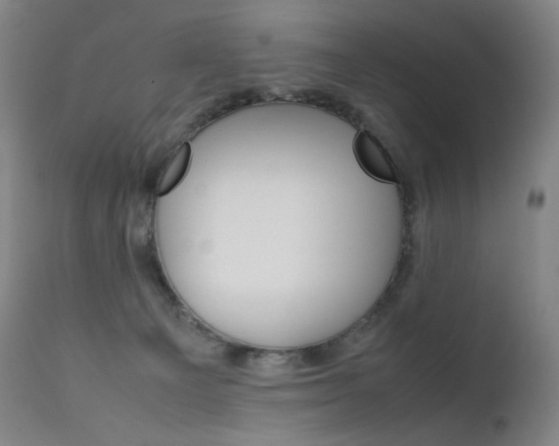 X0000111630129200907171138