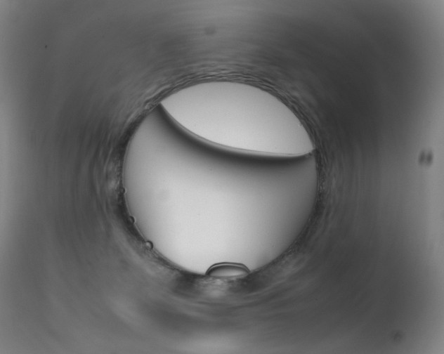 X0000111630131200907171138