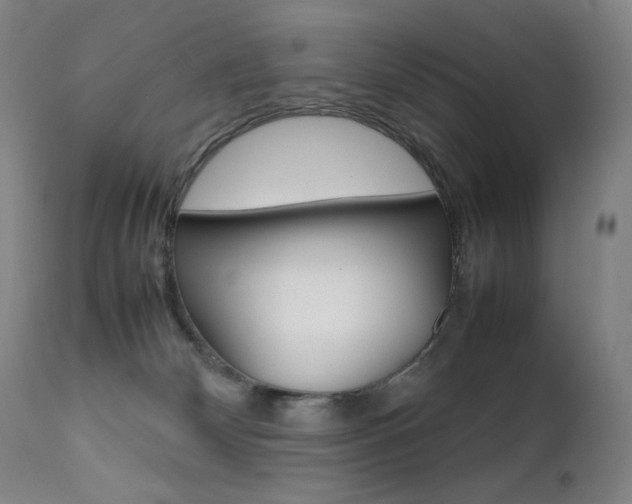 X0000111630132200907171138