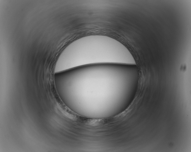 X0000111630136200907171138
