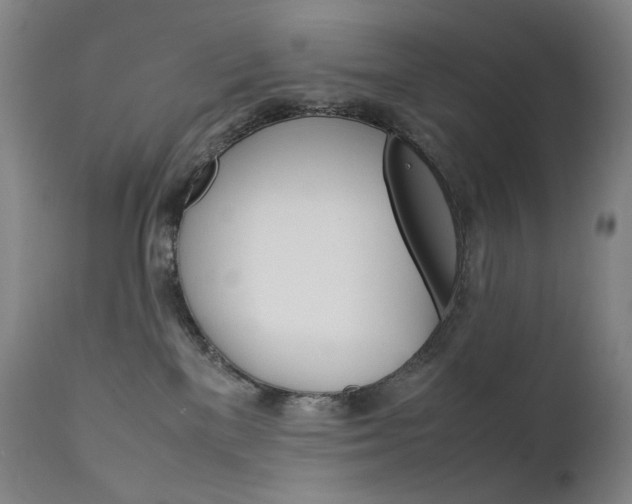 X0000111630137200907171138