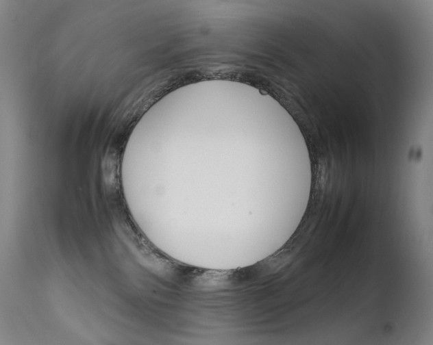 X0000111630138200907171138