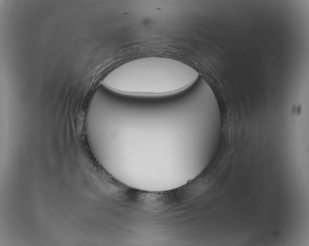 X0000111630139200907171138