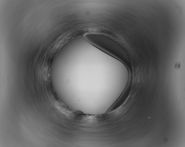 X0000111630140200907171138