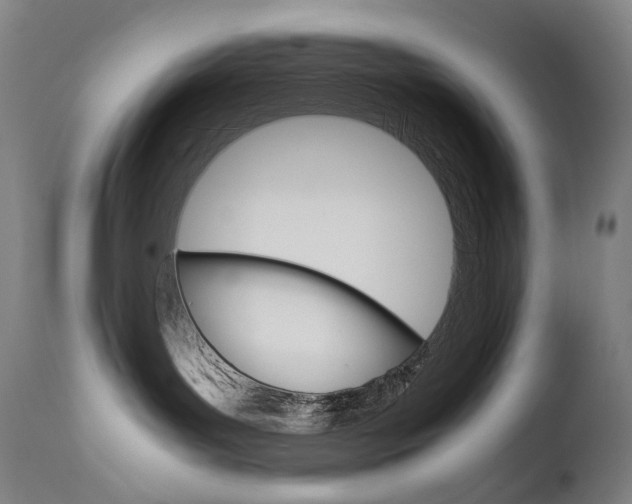 X0000111630143200907171138