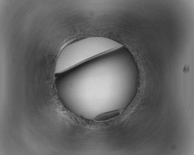 X0000111630144200907171138