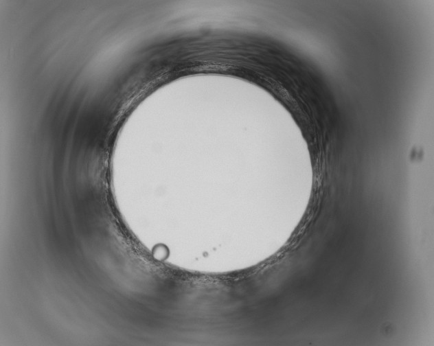 X0000111630146200907171137